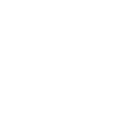 Dice